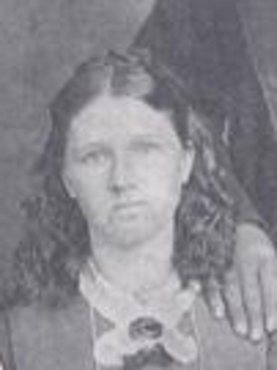 Emily Reid McNeil (1849 - 1903) Profile